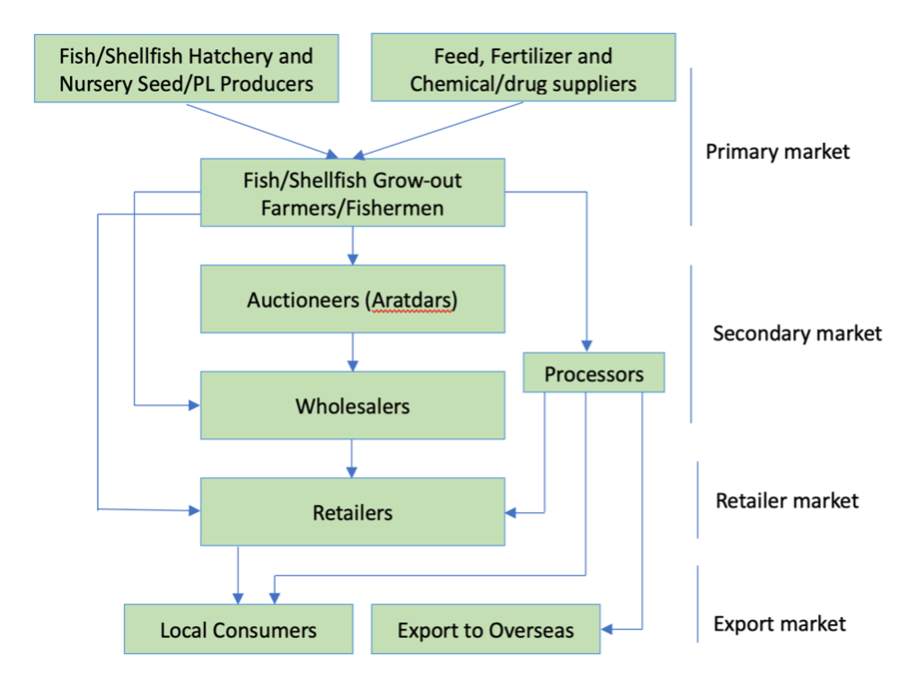 Impacts of COVID19 Pandemic on the Aquaculture Value Chains in